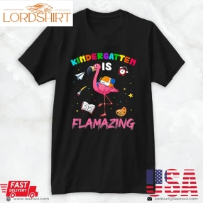 Flamingo Shirt, Kindergarten Is Flamazing Flamingo Lover Back To School