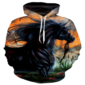 Higozy Unicorn Hoodie 3D Sp151 Custom