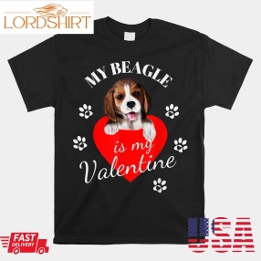 My Beagle Is My Valentines Shirt