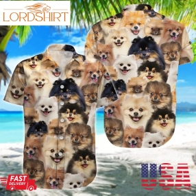 Pomeranians Button Up Shirts, Pomeranians Shirts, Shirts For Men, Dog Hawaiian Shirts, Gift For Him, Pomeranians Gift Lng302203f01