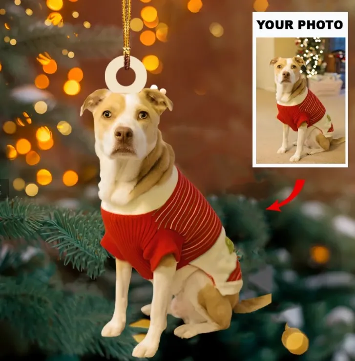 Personalized Photo Acrylic Double Sided Ornament For Dog Lovers