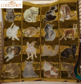 All You Need Cat 3D Customized Quilt