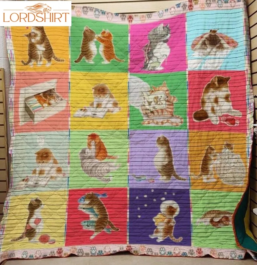 Big Belly Cat 3D Customized Quilt Blanket