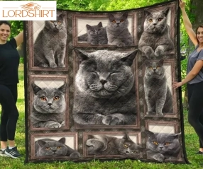 British Shorthair Cat 3D Customized Quilt