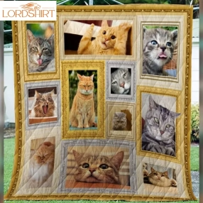 Cat Angry Cat 3D Quilt Blanket