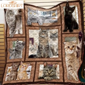 Cat Cats 3D Customized Quilt