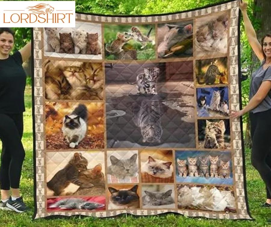 Cat Cute Small Cats 3D Customized Quilt