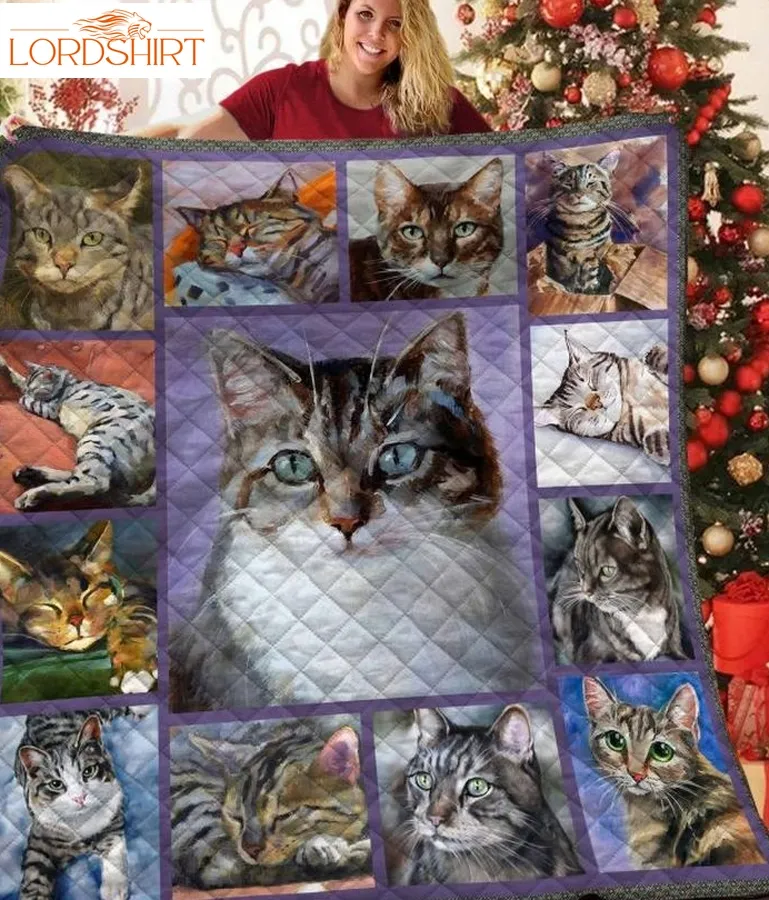 Cat Day After Day 3D Quilt Blanket