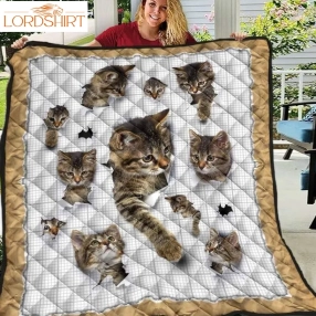 Cat Funny 3D Customized Quilt