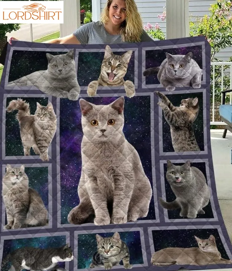 Cat Galaxy With Cat 3D Quilt Blanket