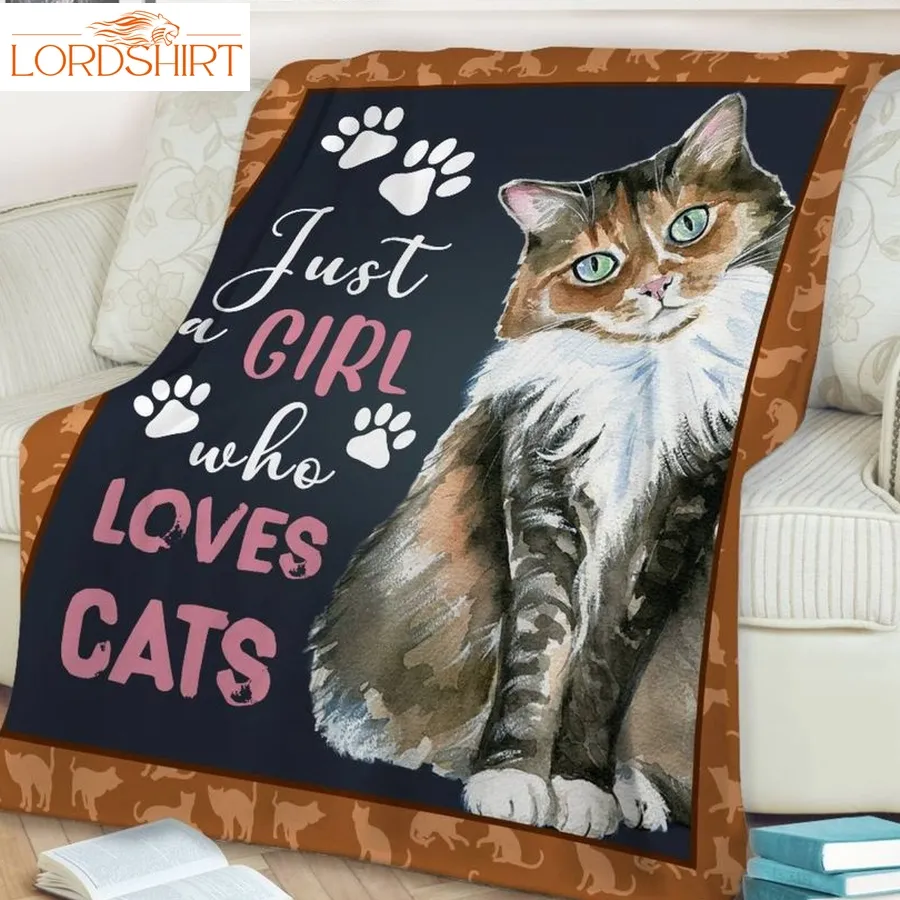 Cat Girl Who Loves Cats All Over Print 3D Quilt Blanket