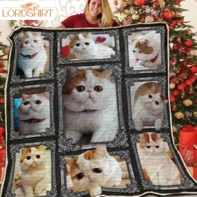 Cat Happy For You 3D Quilt Blanket