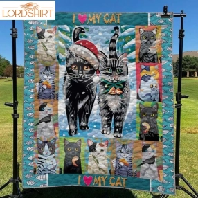 Cat I Can Do It 3D Quilt Blanket