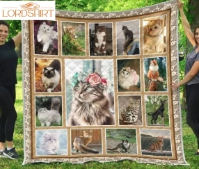 Cat I Love My Cats 3D Quilt Blanket