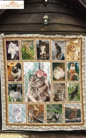 Cat Lovely Cats 3D Customized Quilt