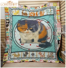 Cat Meow Meow Meow 3D Customized Quilt