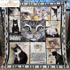 Cat No Ordinary Cats 3D Quilt Blanket