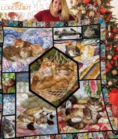 Cat So Much Love 3D Customized Quilt