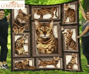 Cat Why Not 3D Customized Quilt