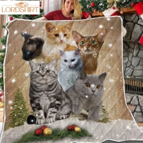 Cat Xmas Vintage 3D Customized Quilt