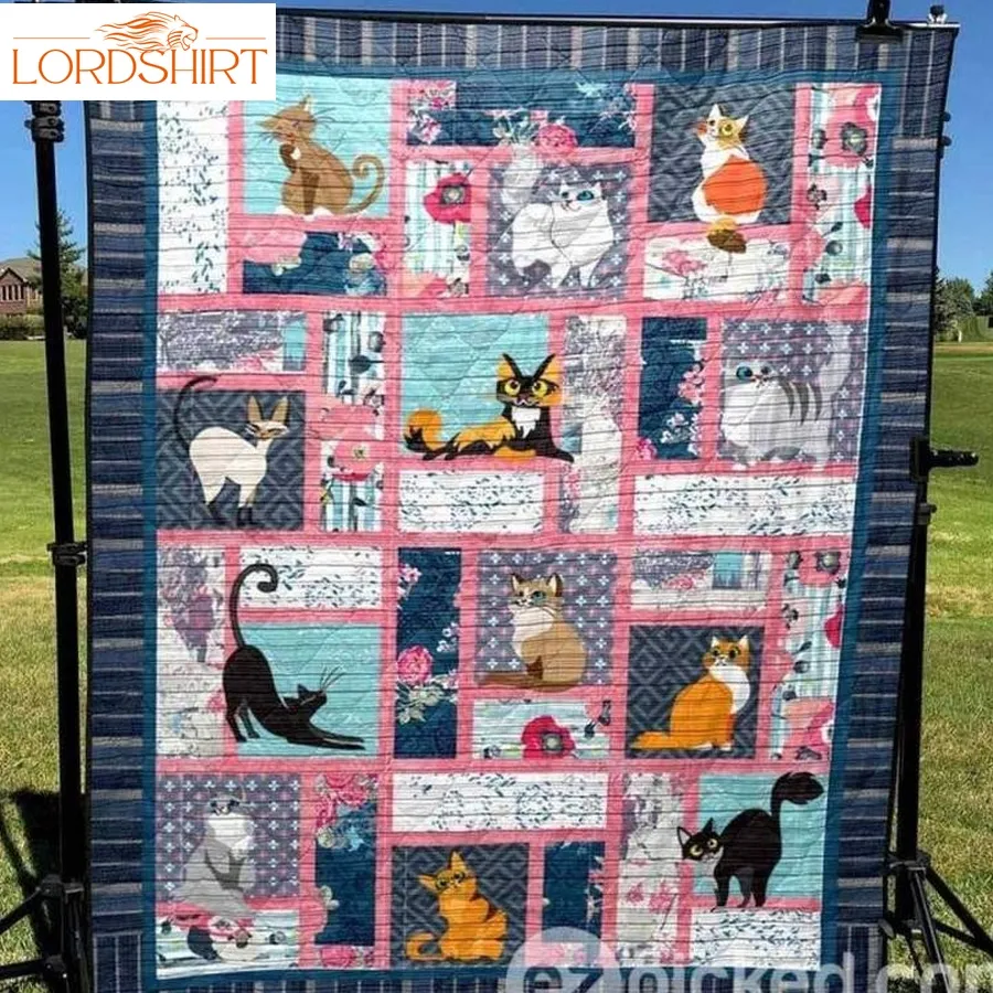 Cats All The Time 3D Customized Quilt