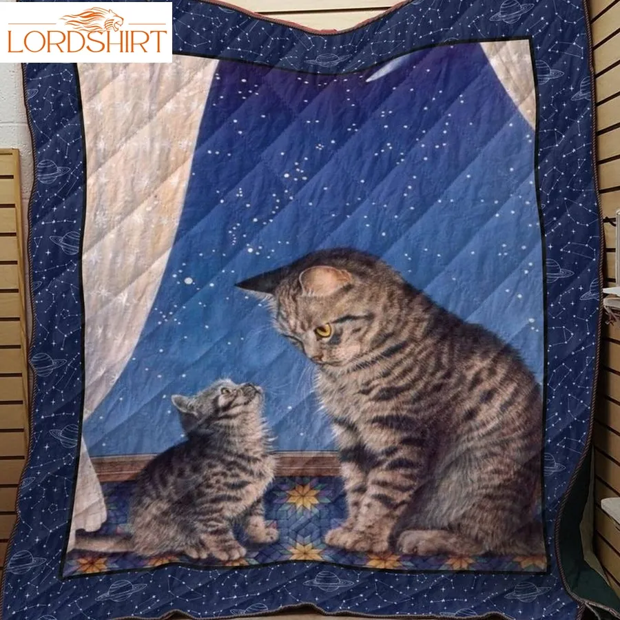 Cute Cat In Night 3D Customized Quilt