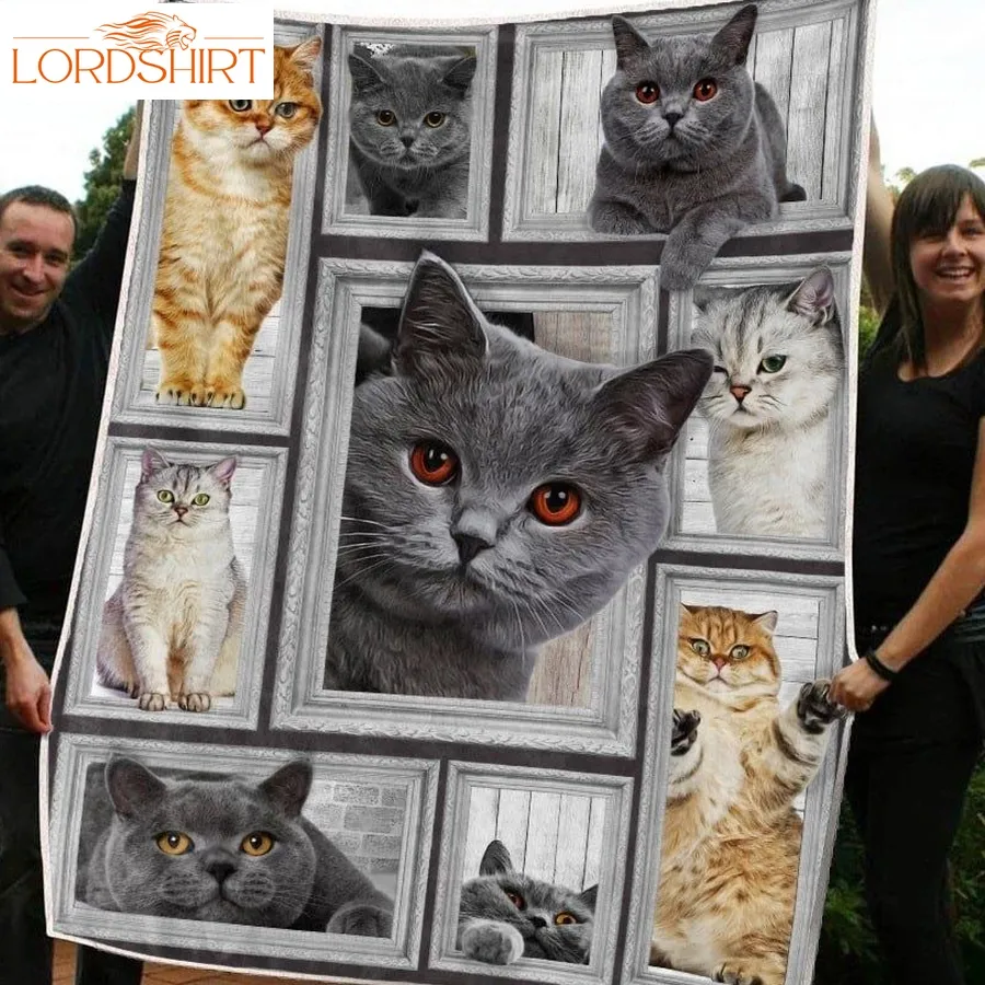 Lkh2208cat Big Love With Cats 3D Quilt Blanket