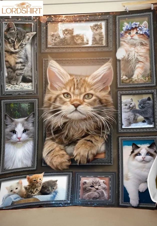 Rey Maine Coon Cat 3D Customized Quilt