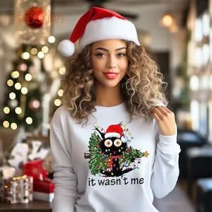 It Wasnt Me/ Funny Christmas Sweatshirt/ Christmas Crew Neck