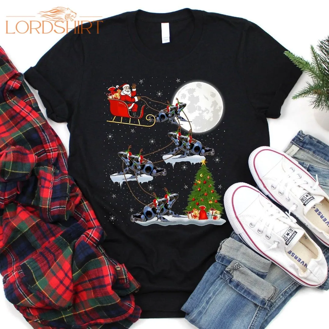 Santa Sleigh Poison Dart Frog Christmas T-shirt For Men Women