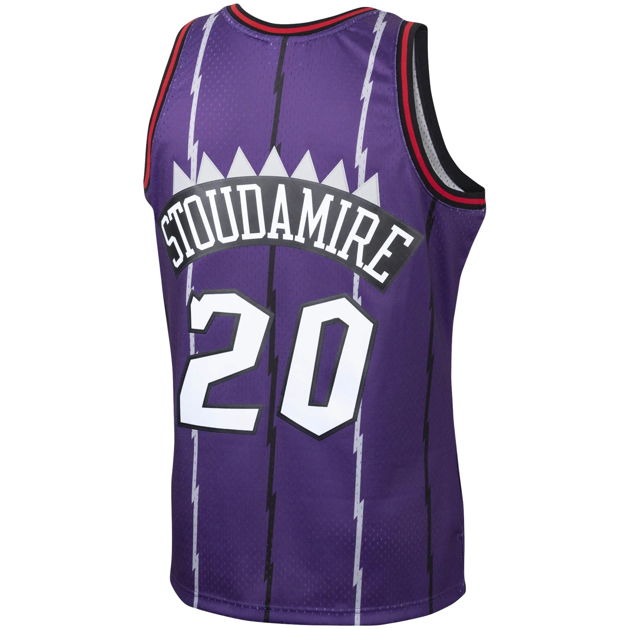 Damon Stoudamire Toronto Raptors Mitchell & Ness 1995/96 Hardwood Classics Swingman Jersey - Purple