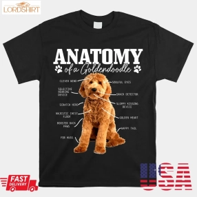 Anatomy Of A Goldendoodle Funny Cute Dog Doodle Mom Dad Shirt